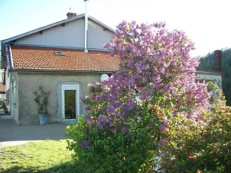 La façade du gîte au printemps, derrière les lilas en fleurs