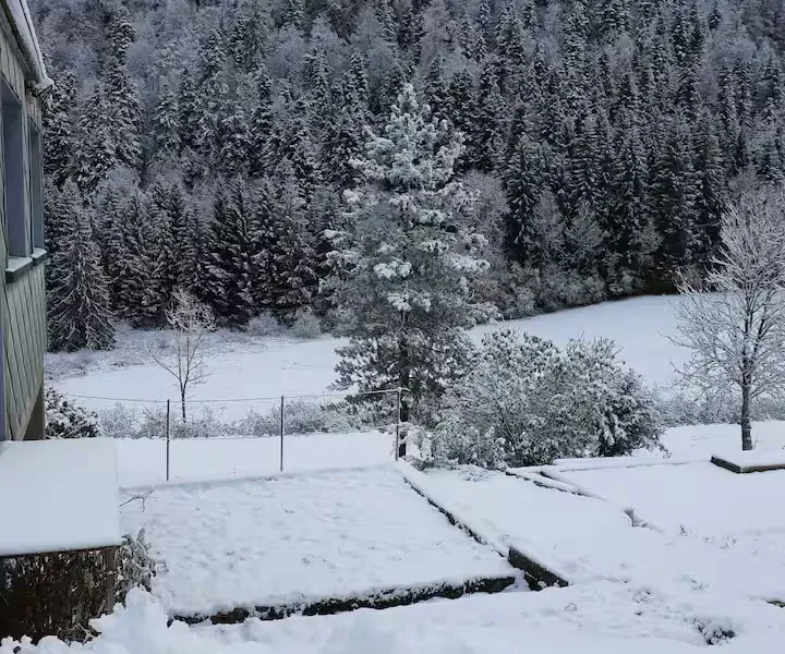 Le jardin et la forêt sous la neige en hiver